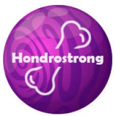 Hondrostrong - средство за защита на ставите